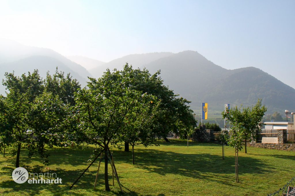 Angekommen in der Wachau