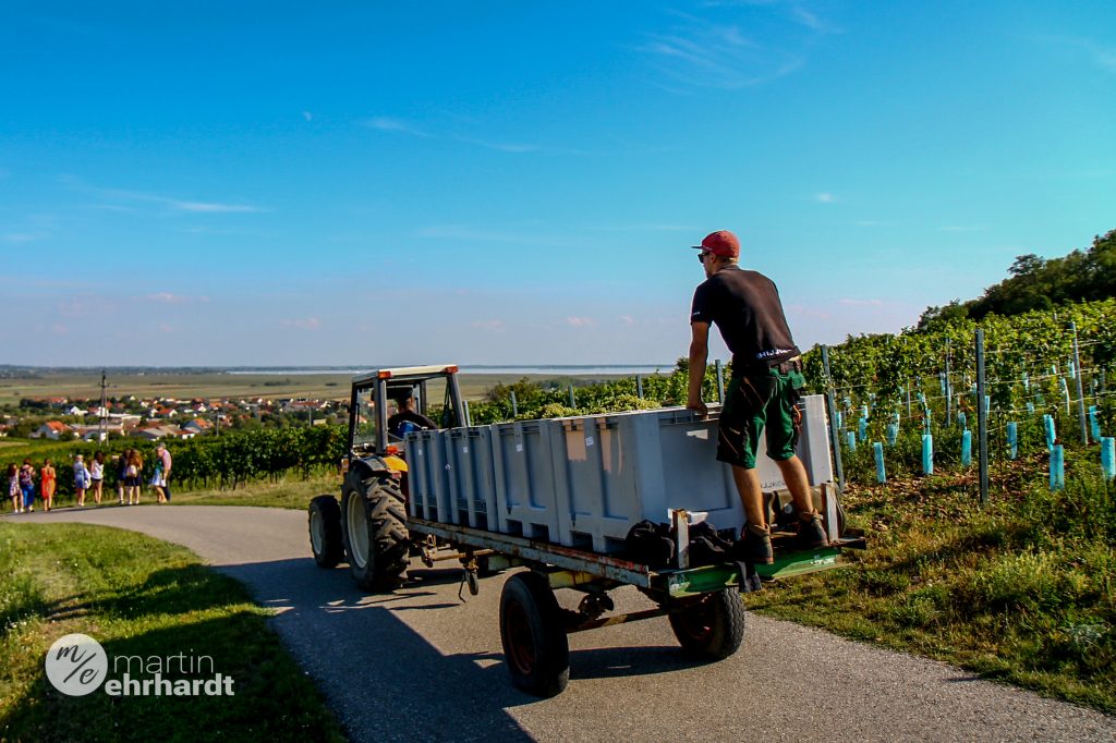 Auch bei Hillinger lief die Ernte schon