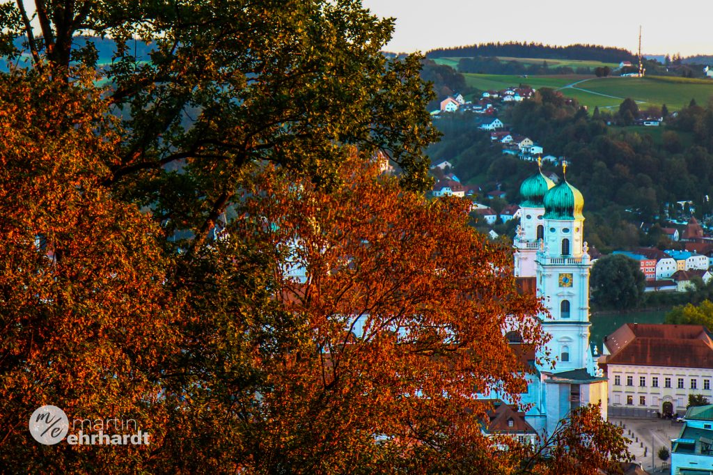 Der Stephansdom im herbstlichen Gewand