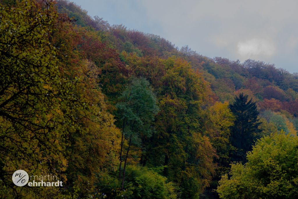 Schöner Herbstwald im Herzen von Thüringen